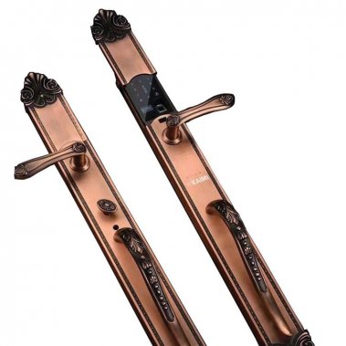 Khóa Thông Minh Đại Sảnh Tân Cổ Điển DS103