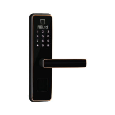 Khóa Vân Tay FP6011