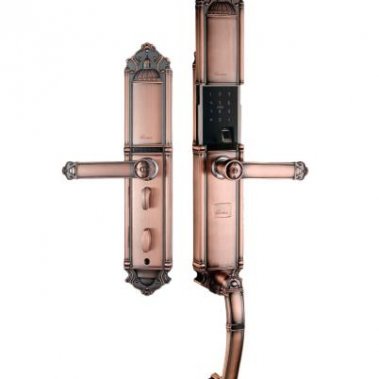 Khóa vân tay DEMAX EL821 AC - APP WIFI