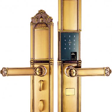 Khóa vân tay DEMAX EL822 GOLD - APP WIFI