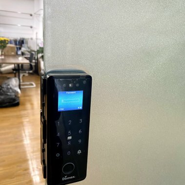 KHÓA CỬA KÍNH FACE ID DEMAX SL900 G - SD