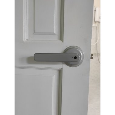 Khoá vân tay cửa phòng Laffer T09