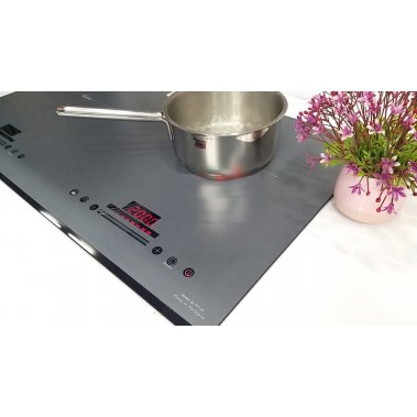 Bếp từ Binova BI-707-ID