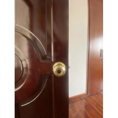 Khóa vân tay cửa phòng DEMAX SL106 YL