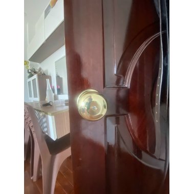Khóa vân tay cửa phòng DEMAX SL106 YL