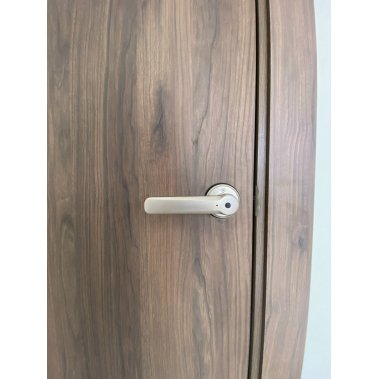 Khóa vân tay cửa phòng DEMAX SL109 SV