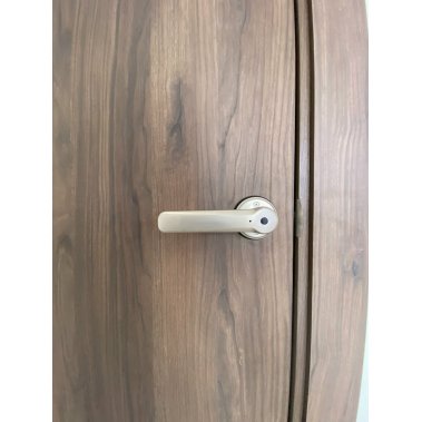 Khóa vân tay cửa phòng DEMAX SL109 SV