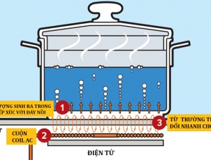 BẾP GAS VÀ BẾP ĐIỆN THÌ LOẠI NÀO NÀO NẤU TIẾT KIỆM TIỀN HÀNG THÁNG HƠN?